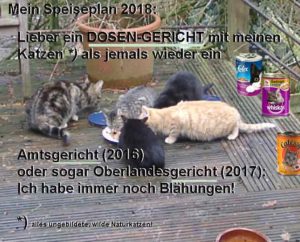Cartoon Gerichte