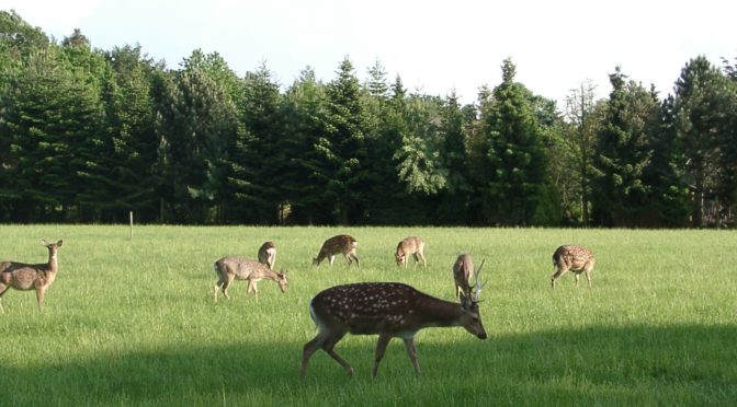 Erinnerungen